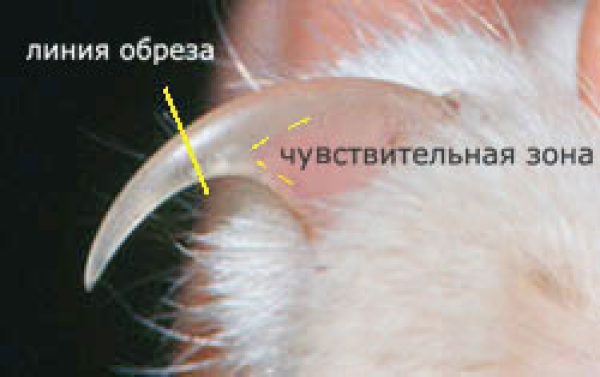 Схема обреза